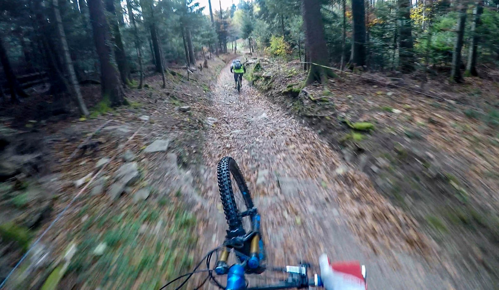 Red Leaves Day, journée de clôture 2017 Red Leaves Day, journée de clôture 2017